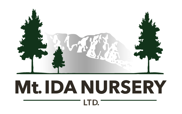 Adjusted color logo