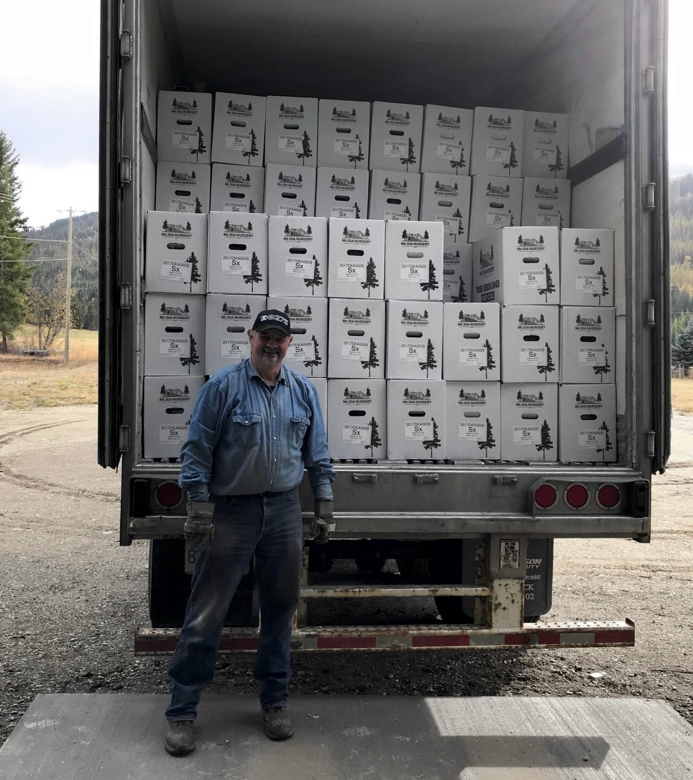 First load of the year! Picture of carefully packaged sapplings in Salmon Arm, British Columbia